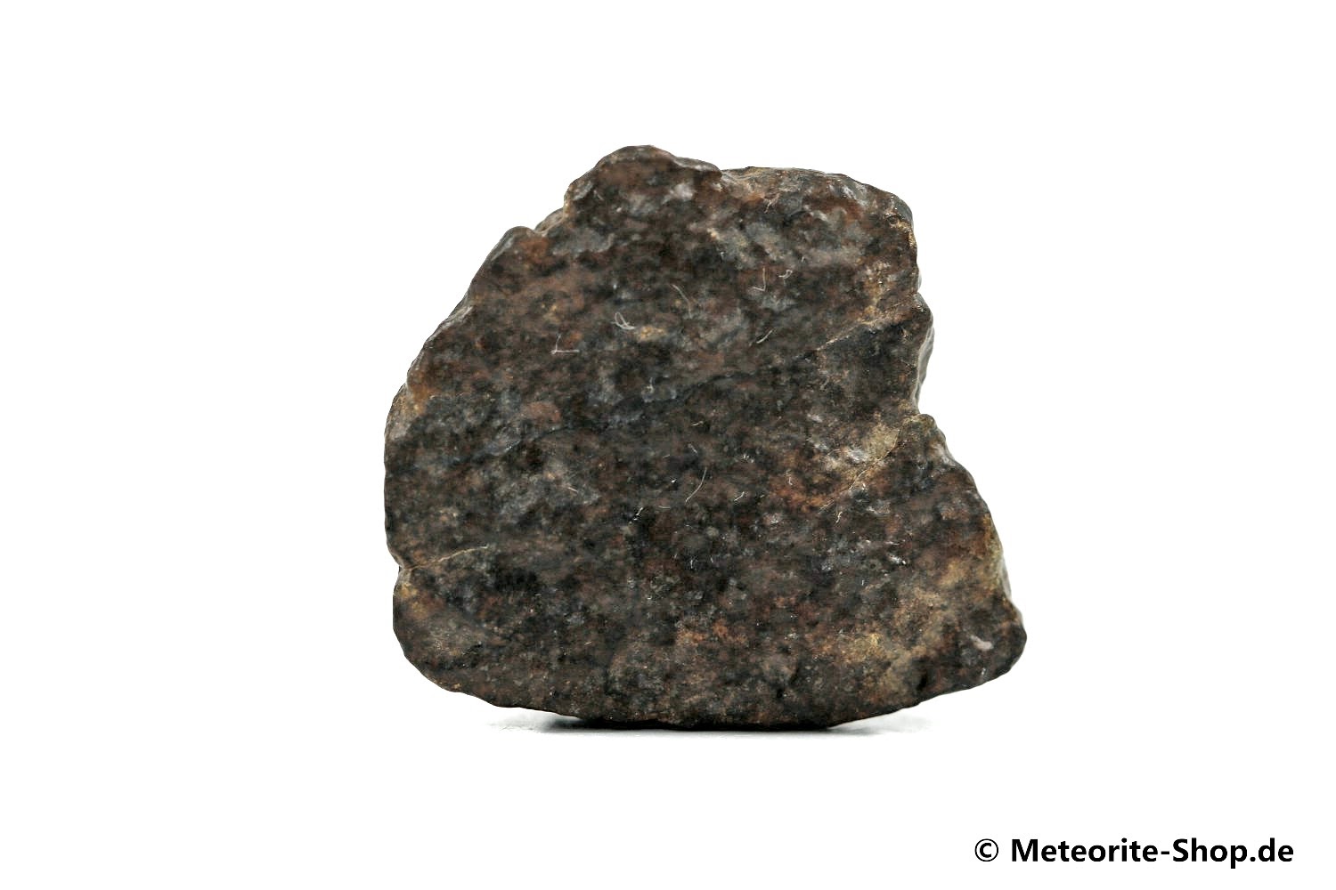 NWA Tagounite Meteorit - 12,10 g
