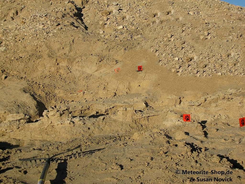 Streufeld der Fulgurite in der Mojave-Wüste