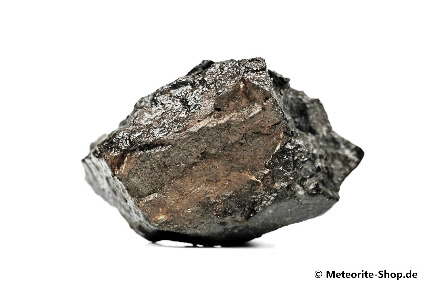 NWA Westsahara Meteorit - 78,90 g