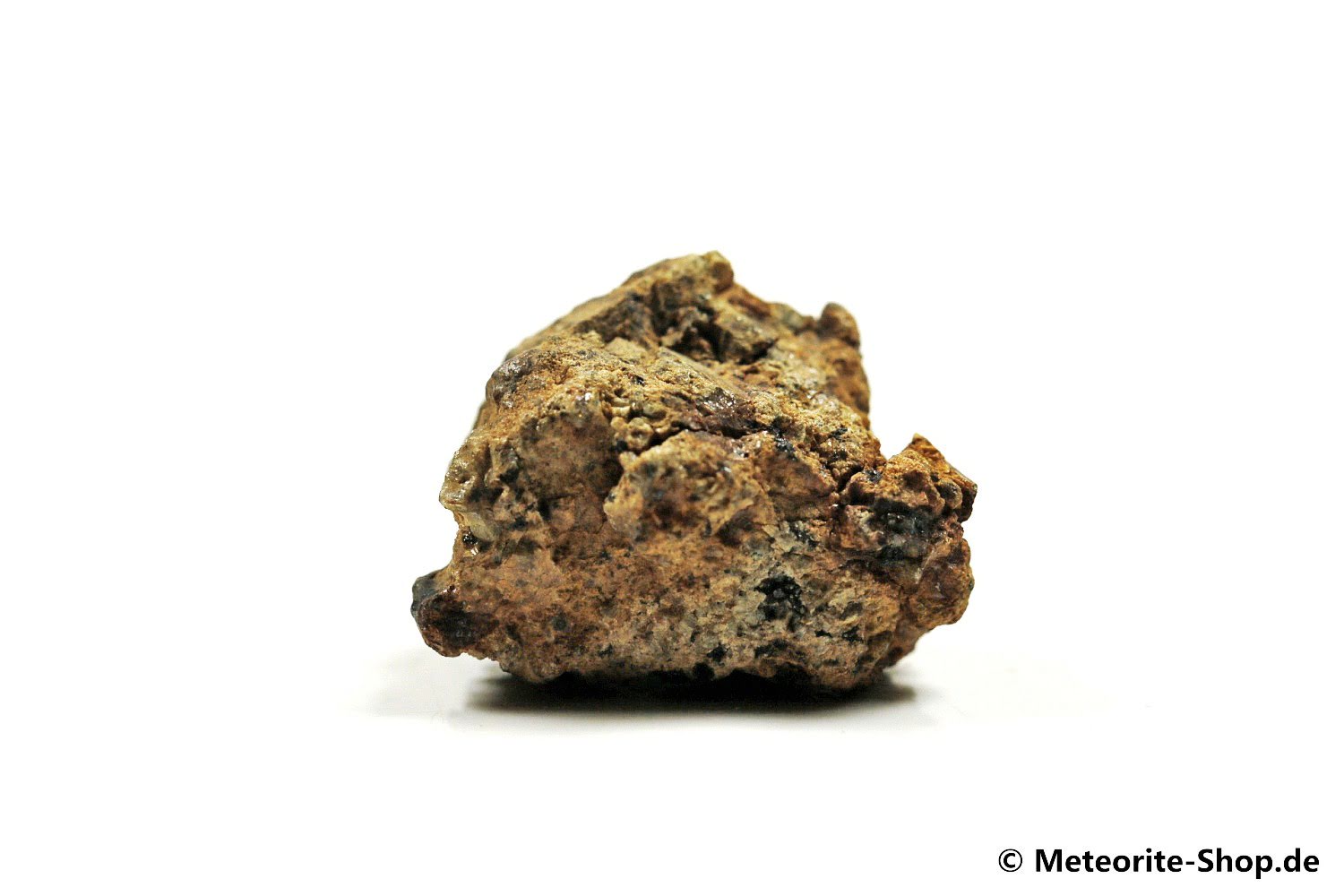 NWA 12953 Meteorit - 10,00 g