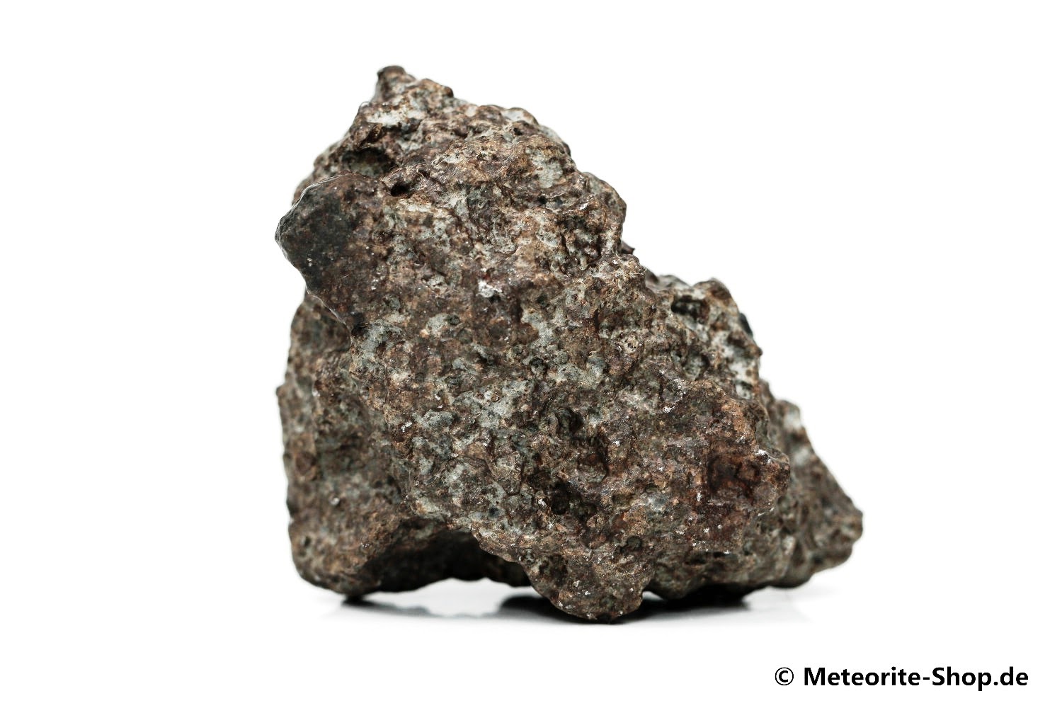 NWA 869 Meteorit - 117,60 g